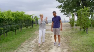 Milovníci vína (12/12)