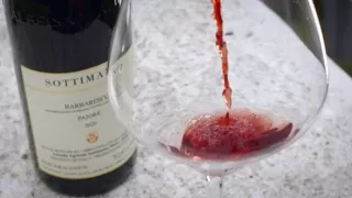 Milovníci vína (12/12)