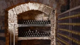 Milovníci vína (12/12)