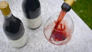 Milovníci vína (12/12)