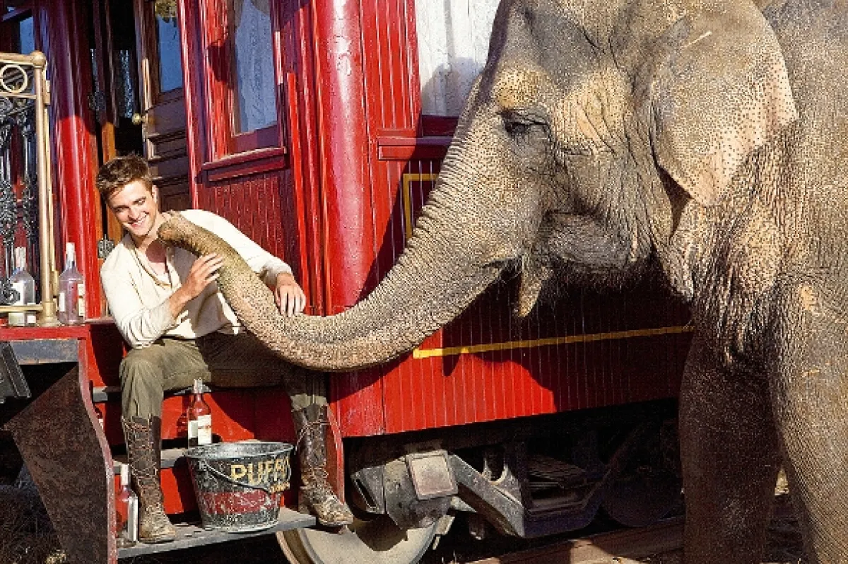 Voda pre slony (Water for Elephants), 2011 - fotogaléria