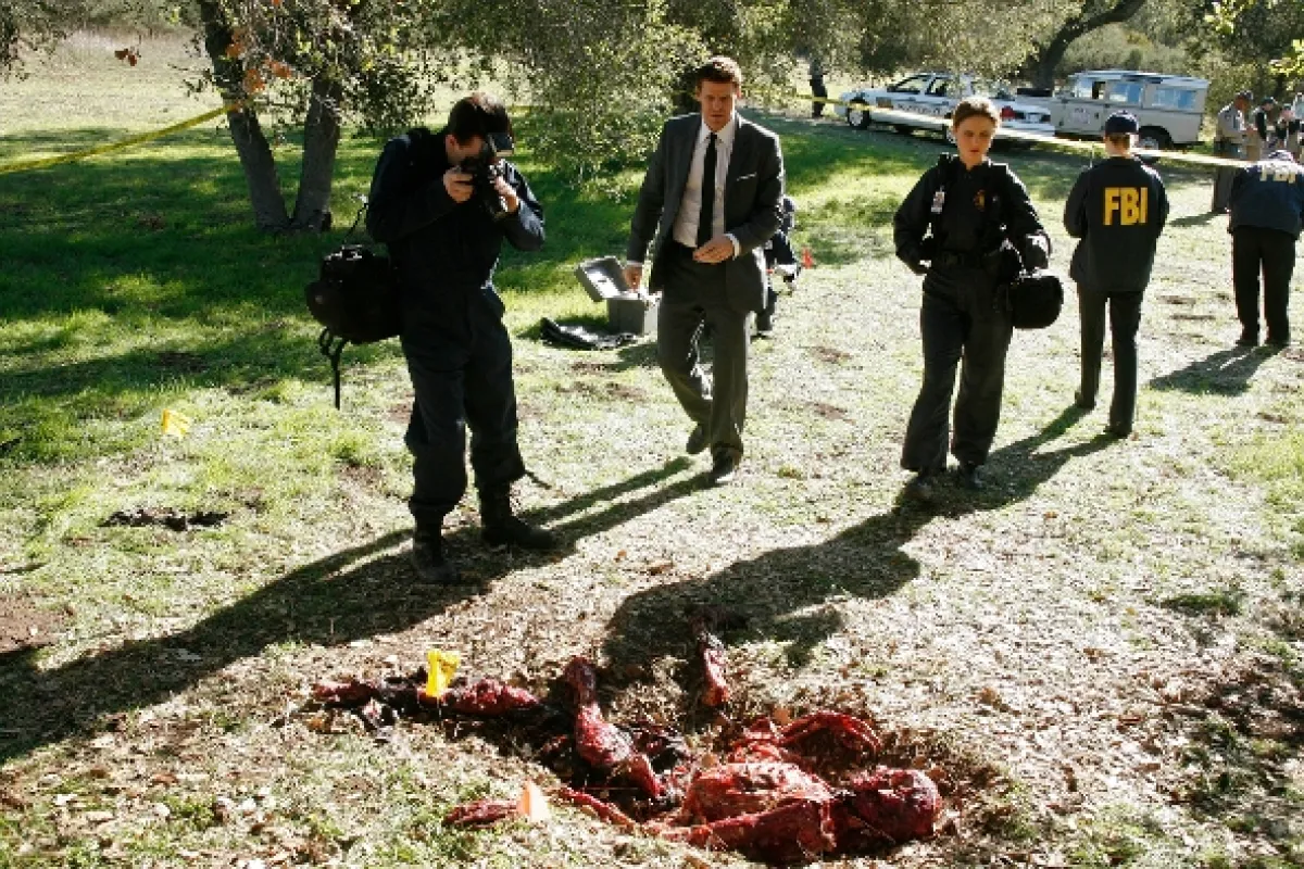Kosti, 2009 - fotogaléria