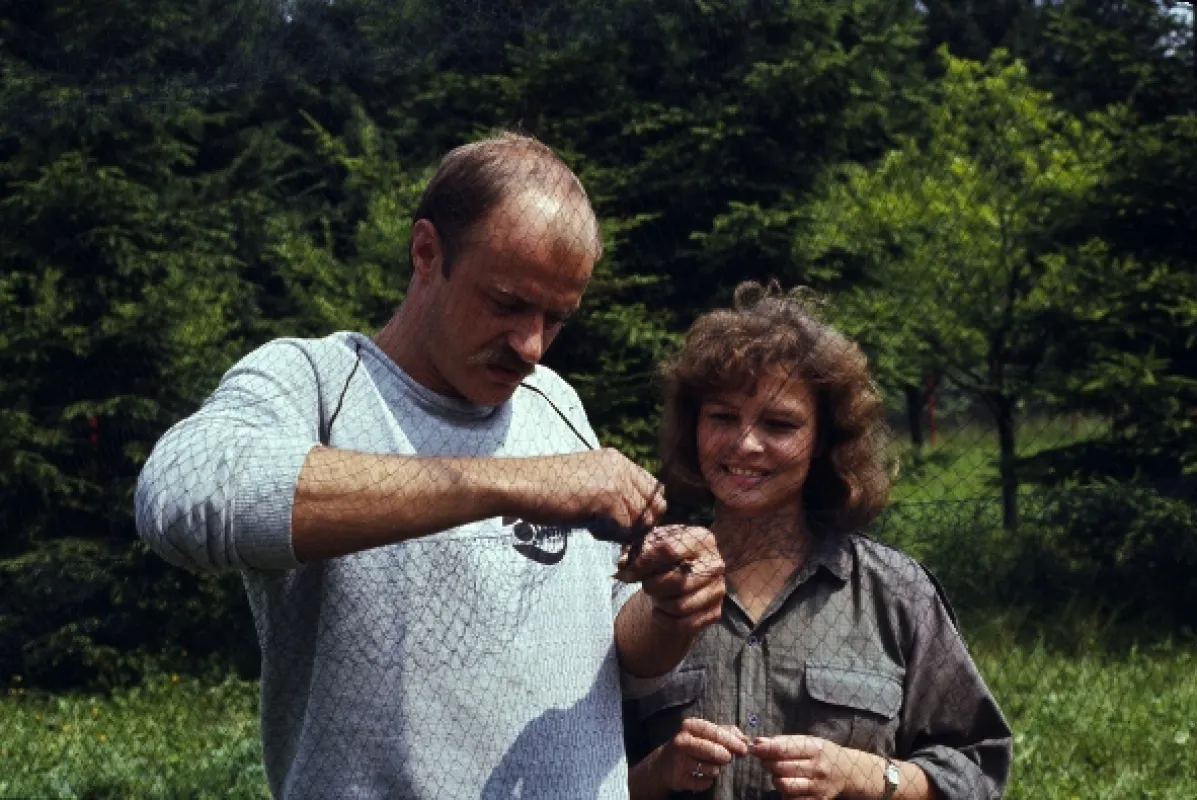 Veľké sedlo, 1987 - fotogaléria
