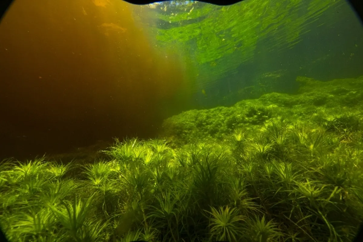 Zázračná planeta: Velké řeky světa - fotogaléria