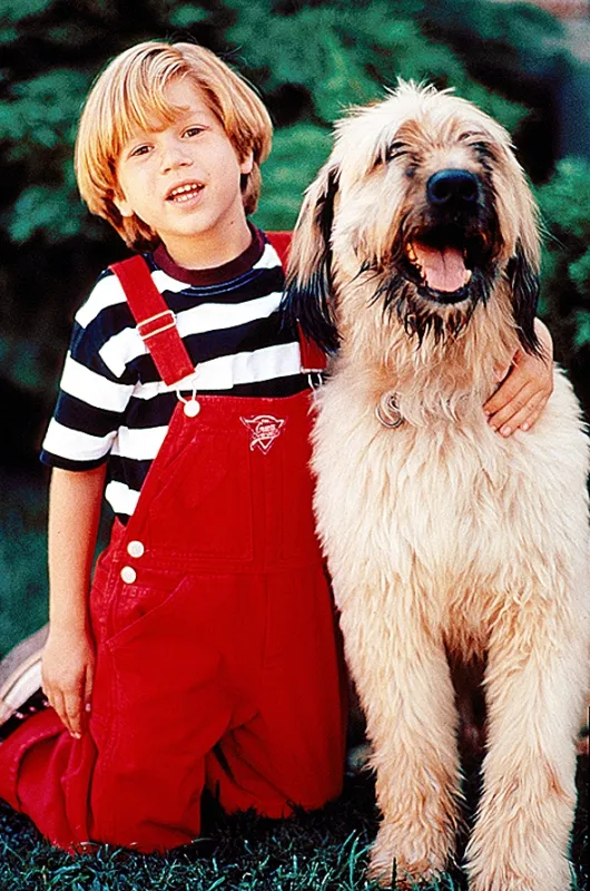 Postrach Denis opäť zasahuje (Dennis the Menace Strikes Again), 1998 - fotogaléria
