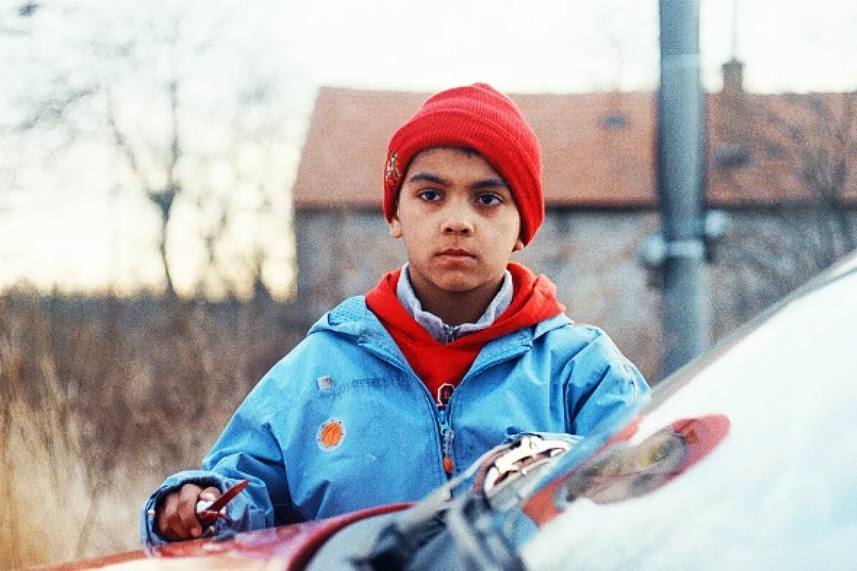 Můj pes Killer, 2013 - fotogaléria