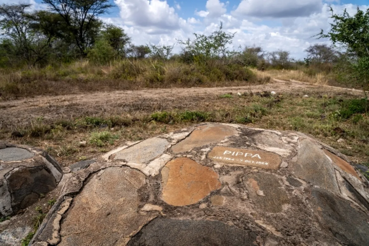 Zrozena pro Afriku - fotogaléria