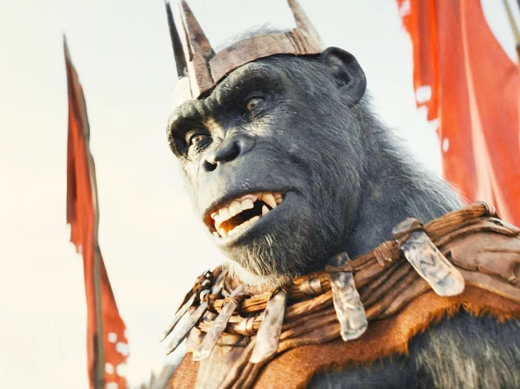 Království Planeta opic (Kingdom of the Planet of the Apes), 2024 - fotogaléria