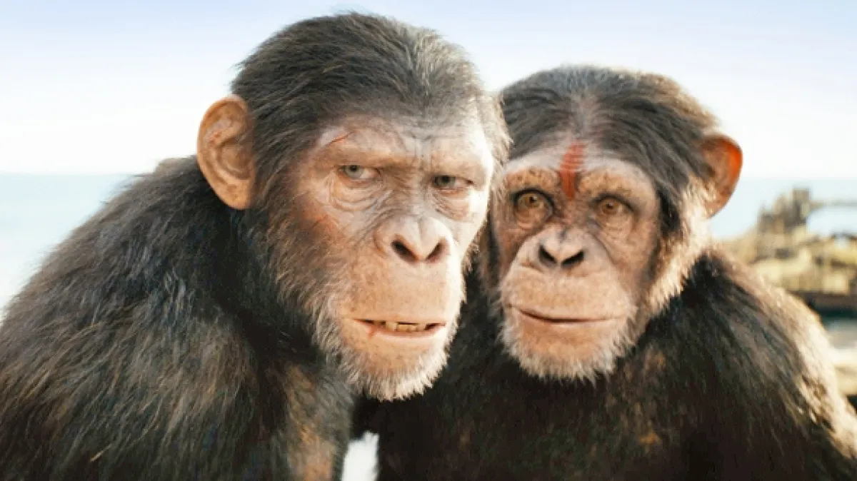 Království Planeta opic (Kingdom of the Planet of the Apes), 2024 - fotogaléria