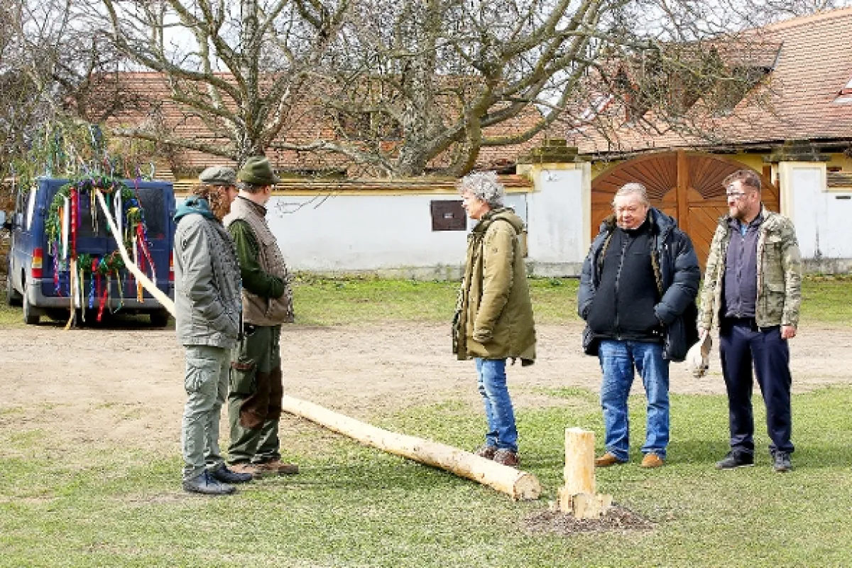 Slunečná, 2020 - fotogaléria