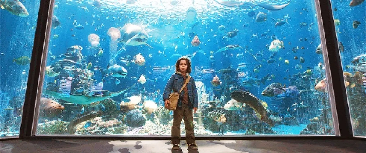 Aquaman, 2018 - fotogaléria