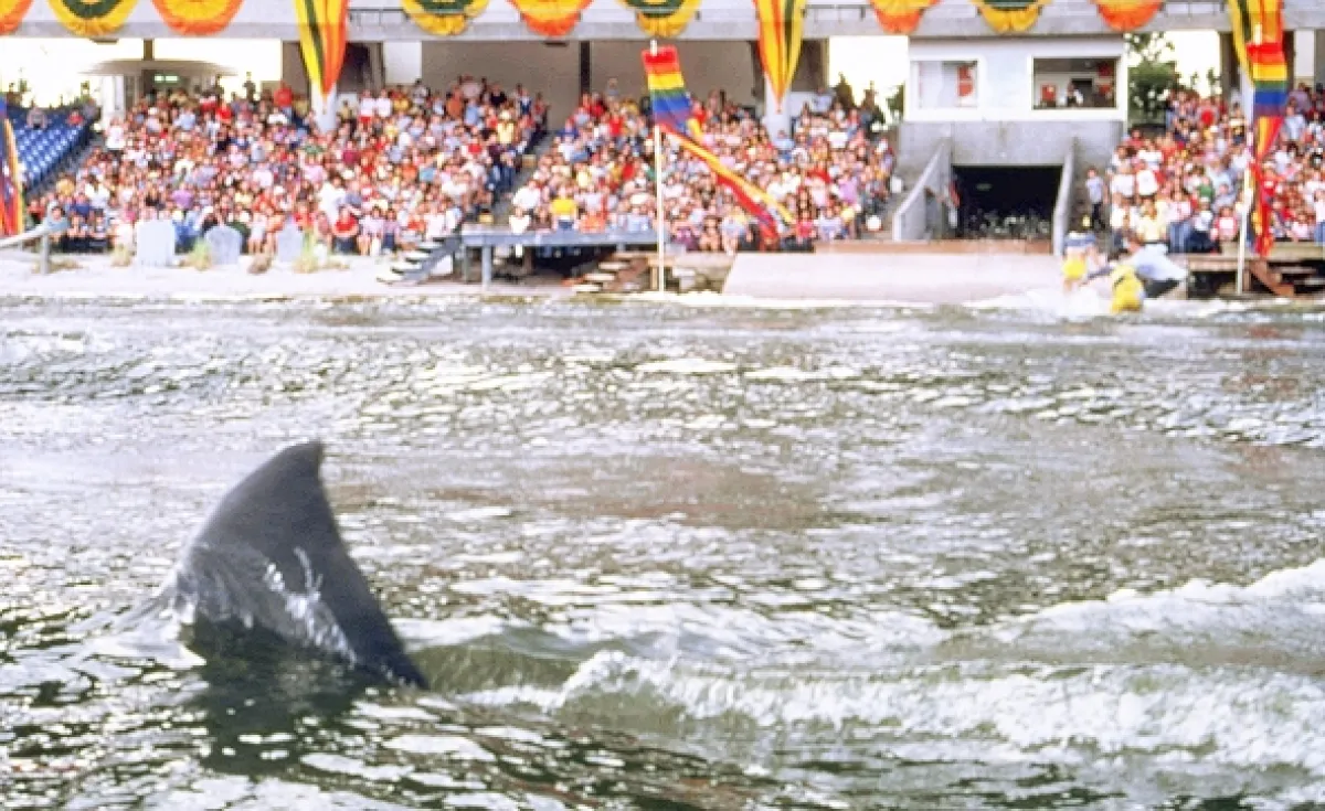 Čeľuste 3 (Jaws 3-D), 1983 - fotogaléria