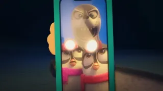Dobrodružství malého tučňáka