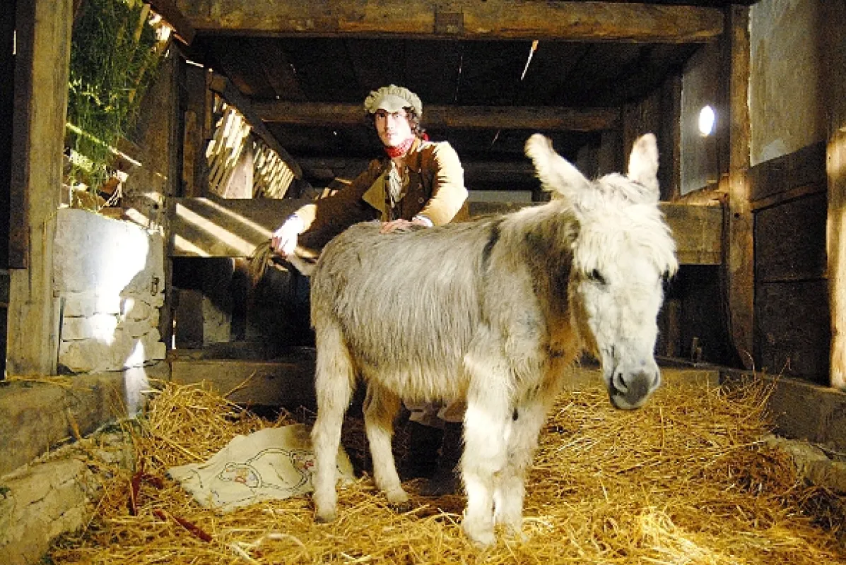 Rozprávky bratov Grimmovcov: Stolček, prestri sa!, 2009 - fotogaléria
