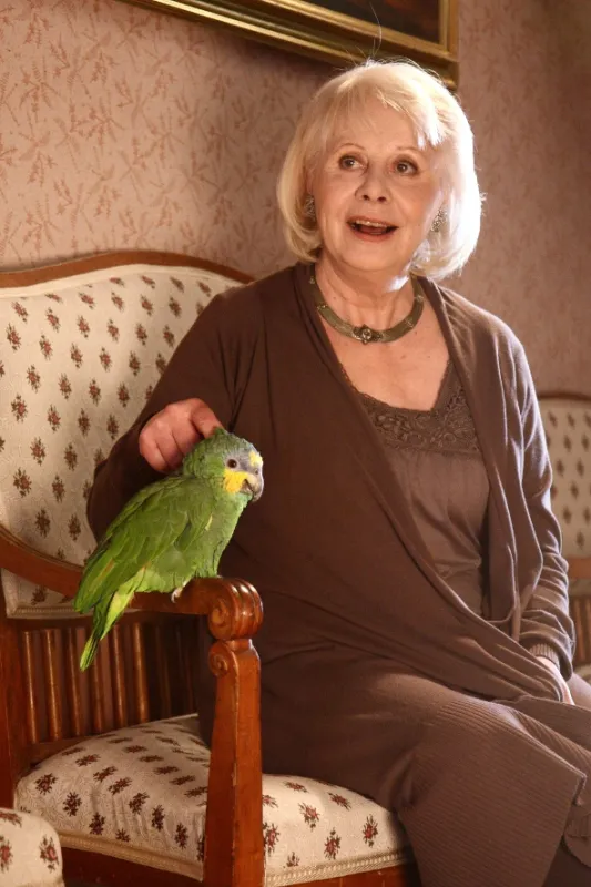 Cudzinec a krásna pani, 2011 - fotogaléria