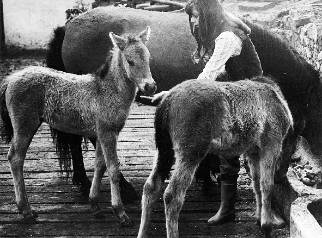 Brácha za všechny peníze (Brother Worth All The Money), 1979 - fotogaléria