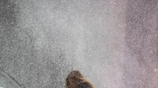 Wind River