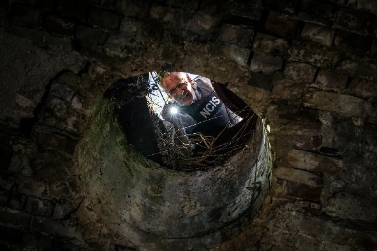 Námořní vyšetřovací služba: New Orleans (NCIS: New Orleans VII), 2020 - fotogaléria