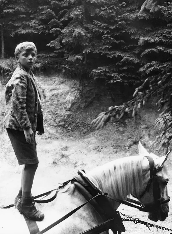 Ať žije republika, 1965 - fotogaléria