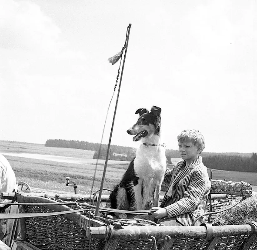 Ať žije republika, 1965 - fotogaléria