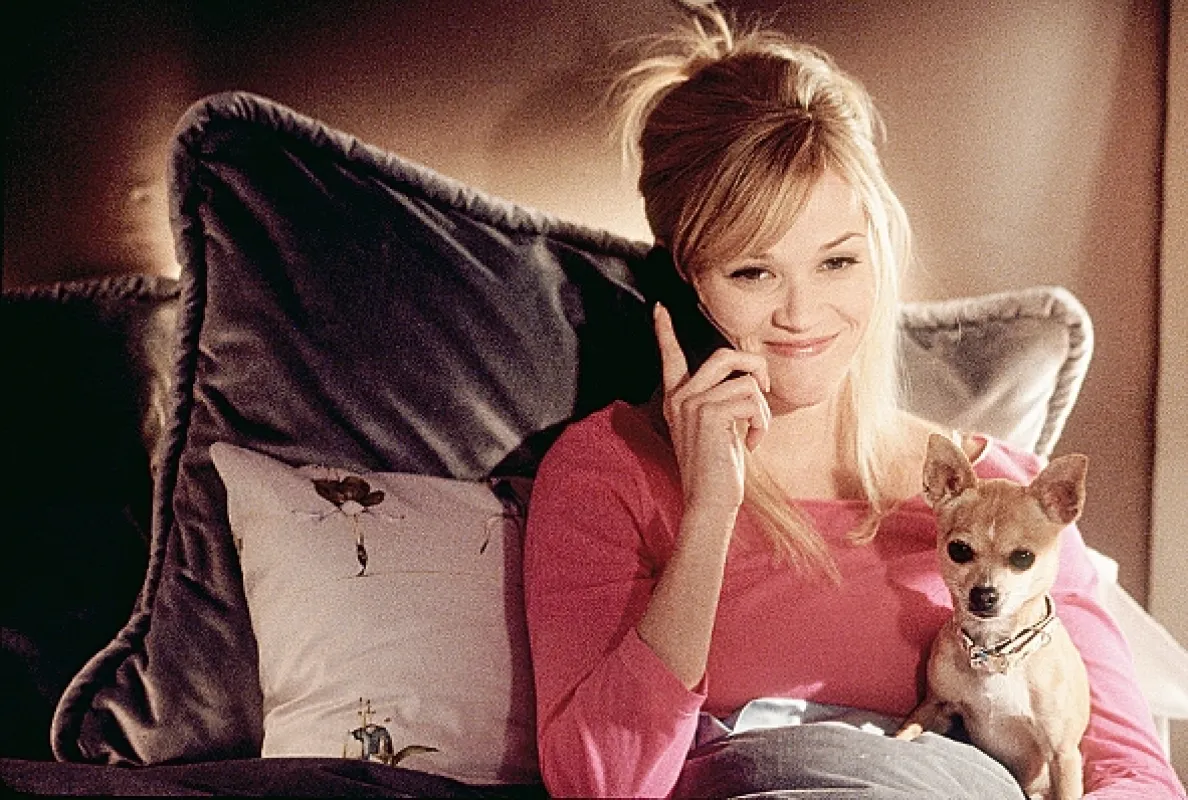Pravá blondínka 2 (Legally Blonde 2), 2003 - fotogaléria