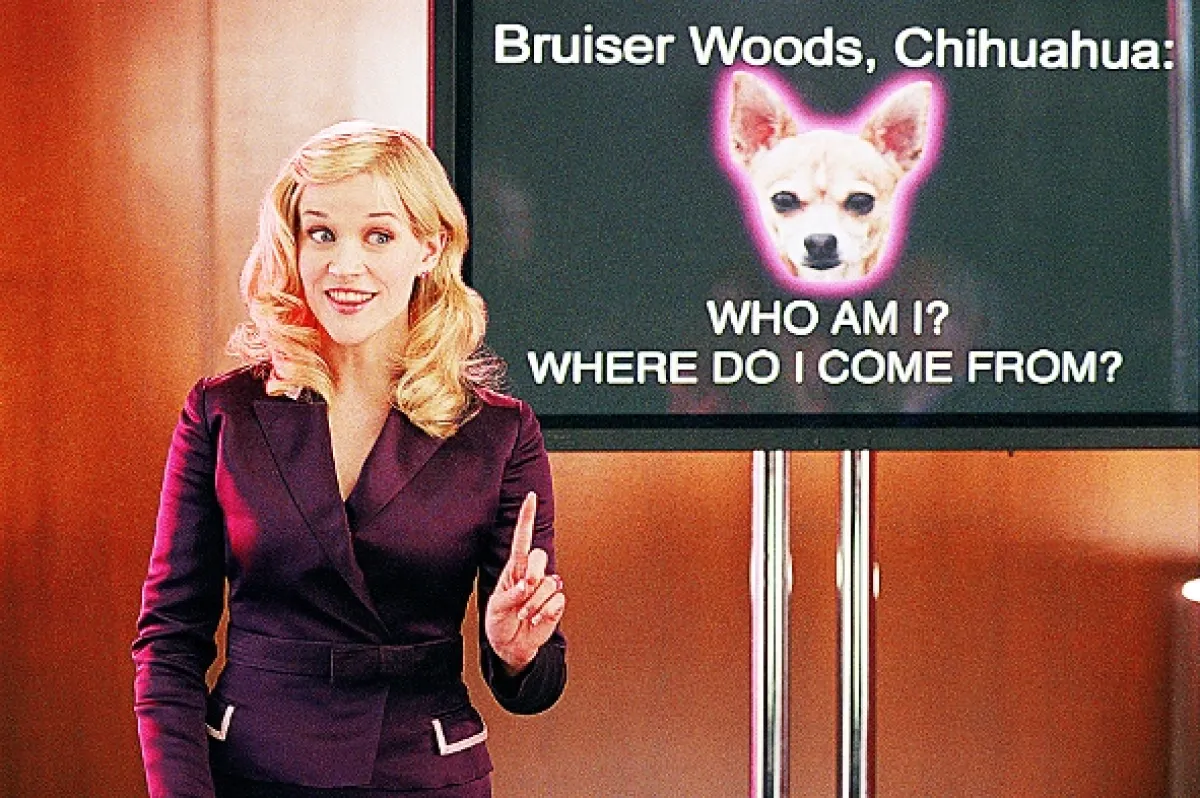 Pravá blondínka 2 (Legally Blonde 2), 2003 - fotogaléria