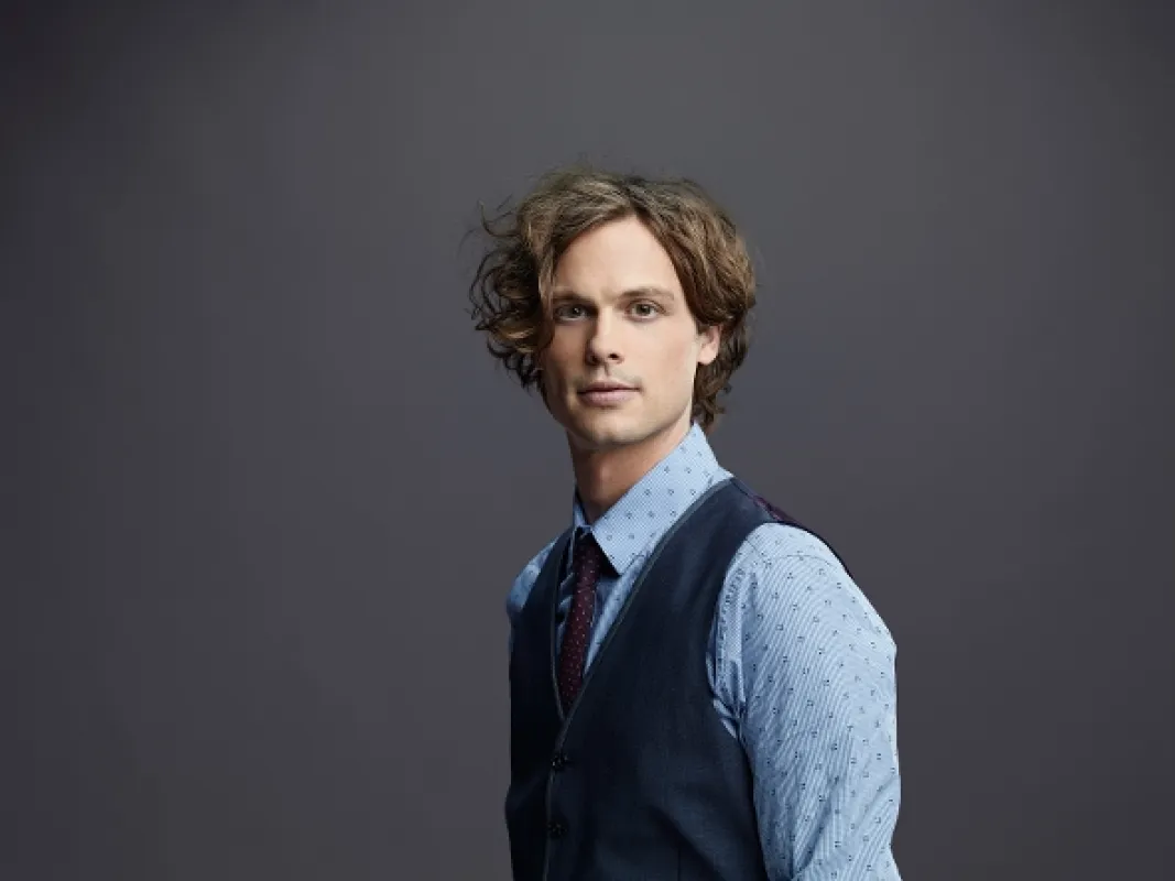 Myšlenky zločince (Criminal Minds X), 2014 - fotogaléria
