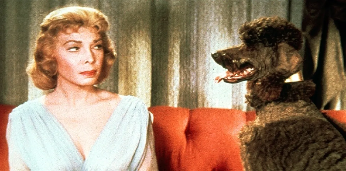 Módní návrhářka (Designing Woman), 1957 - fotogaléria