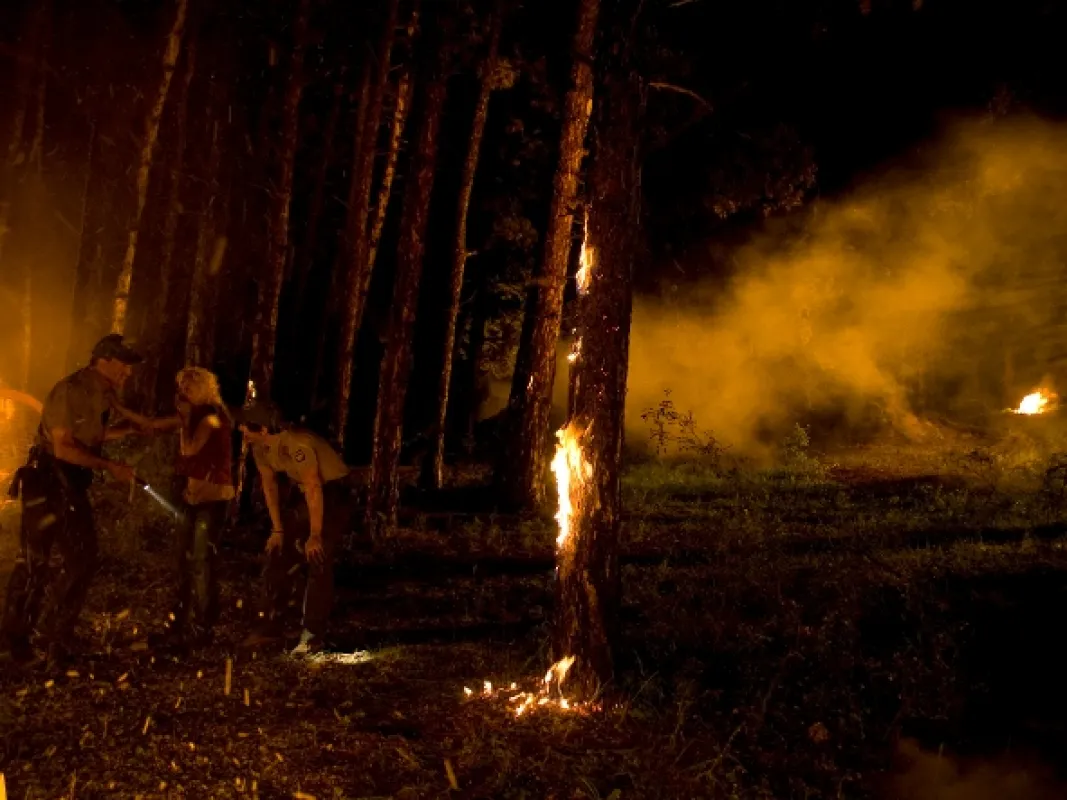 Supervulkán (Super Eruption), 2011 - fotogaléria