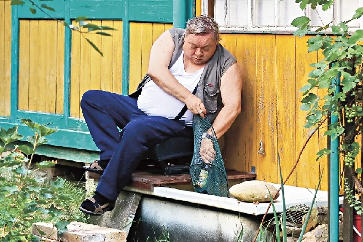 Přístav, 2015 - fotogaléria