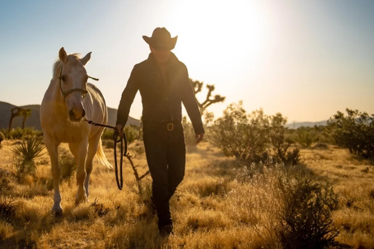Bruce Springsteen: Western Stars (Western Stars), 2019 - fotogaléria