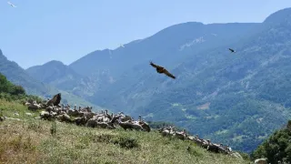 Európske mikroštáty (1)