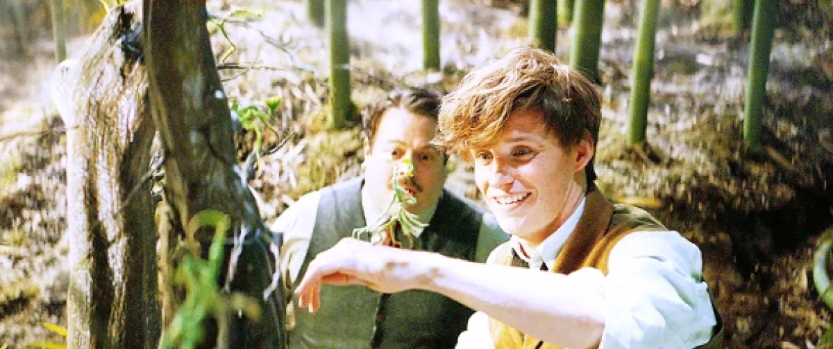 Fantastická zvířata a kde je najít (Fantastic Beasts and Where to Find Them), 2016 - fotogaléria