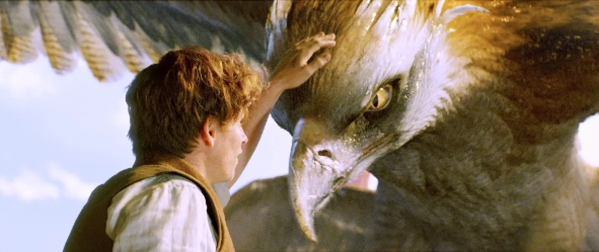 Fantastická zvířata a kde je najít (Fantastic Beasts and Where to Find Them), 2016 - fotogaléria