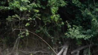 Objevování chutí s Gordonem Ramsaym