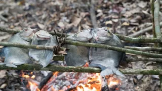 Objevování chutí s Gordonem Ramsaym