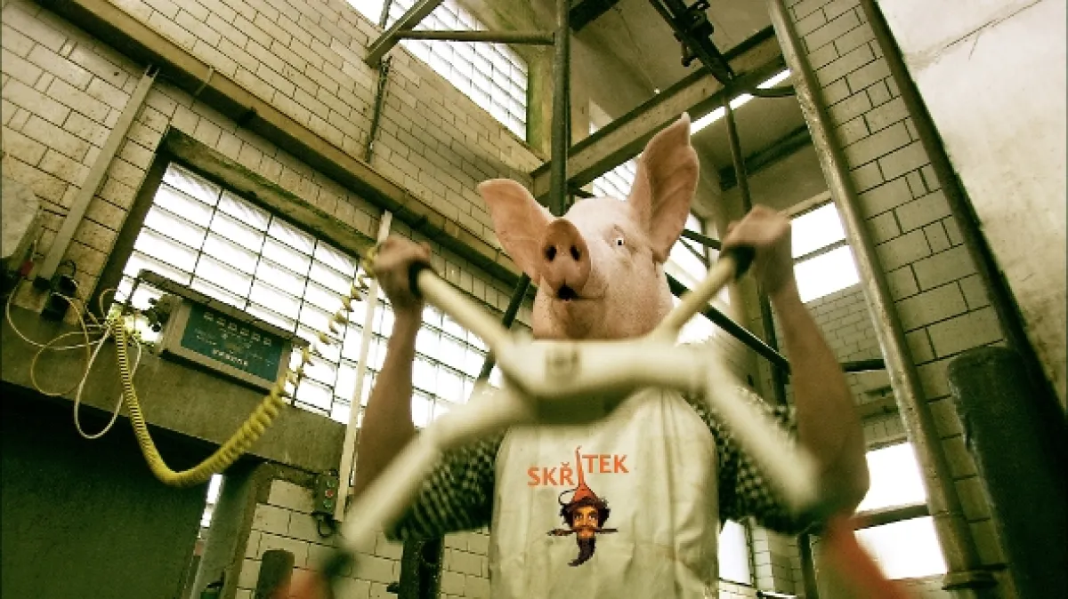 Skřítek, 2005 - fotogaléria