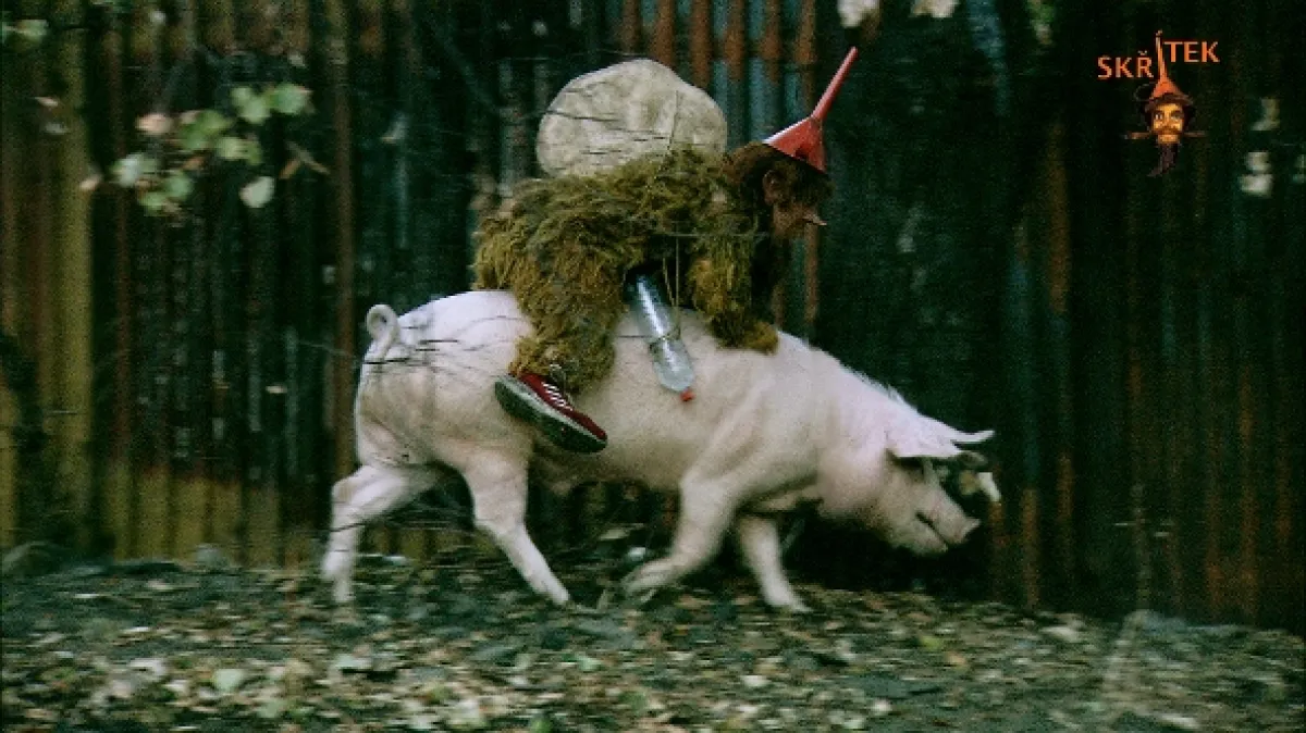 Skřítek, 2005 - fotogaléria