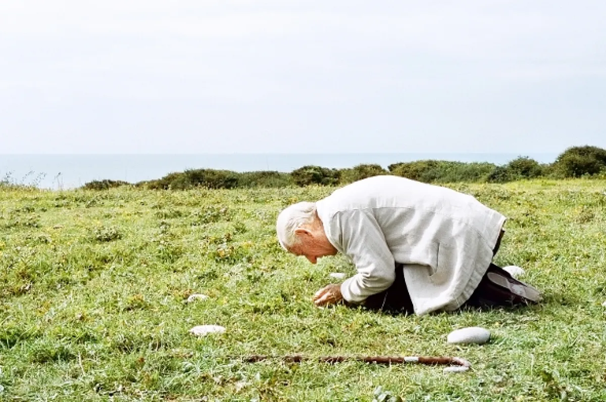Mr. Holmes, 2015 - fotogaléria