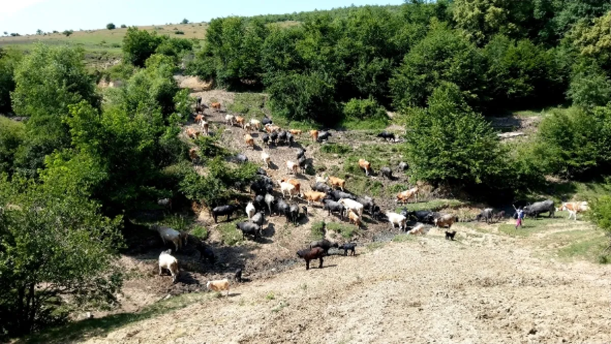 Co znamená divočina (What is Wilderness?), 2022 - fotogaléria