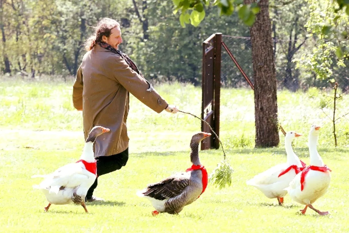 Eštebák, 2011 - fotogaléria