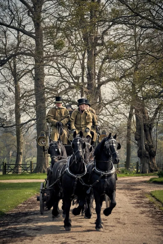 Belgravia, 2019 - fotogaléria