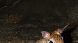 Svět podivných tvorů