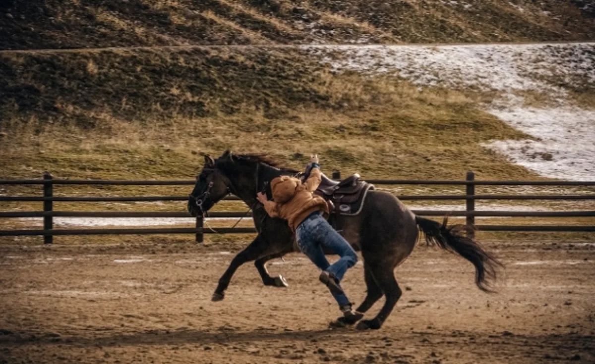 Yellowstone, 2018 - fotogaléria