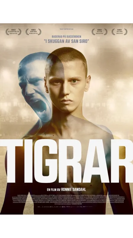 Tygři (Tigers), 2020 - fotogaléria