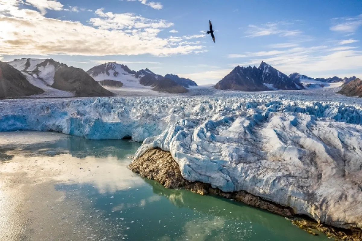 Zmrzlá planeta (Frozen Planet), 2022 - fotogaléria