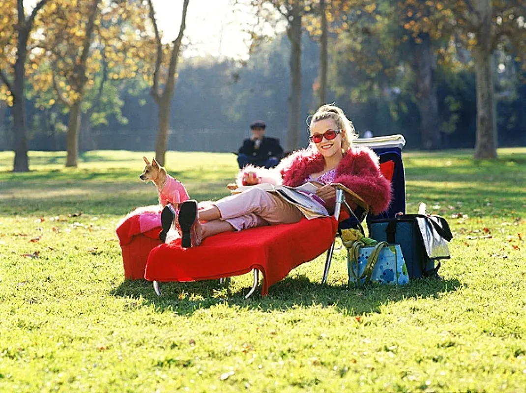 Pravá blondínka (Legally Blonde), 2001 - fotogaléria
