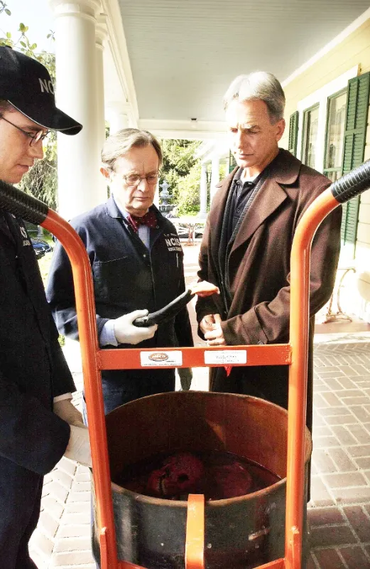 NCIS - Námorný vyšetrovací úrad, 2004 - fotogaléria