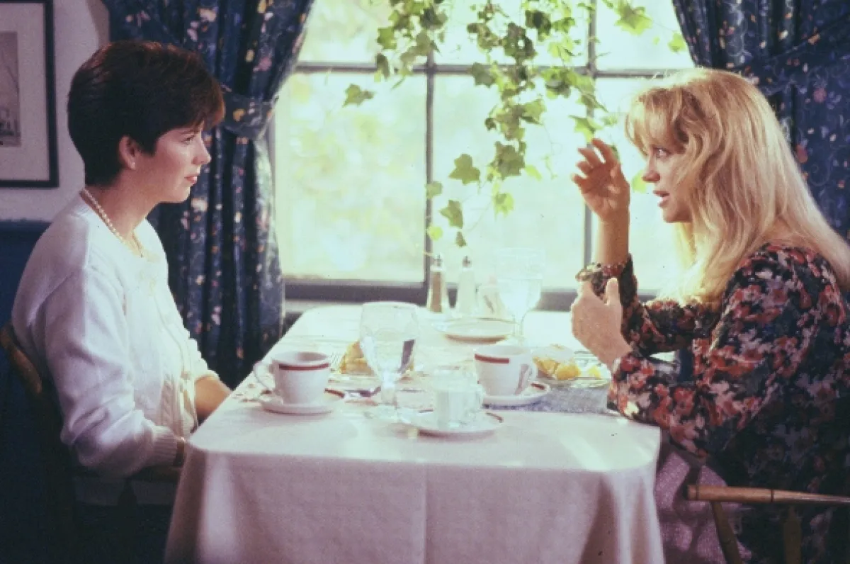 Promiň, jsi ženatý! (HouseSitter), 1992 - fotogaléria