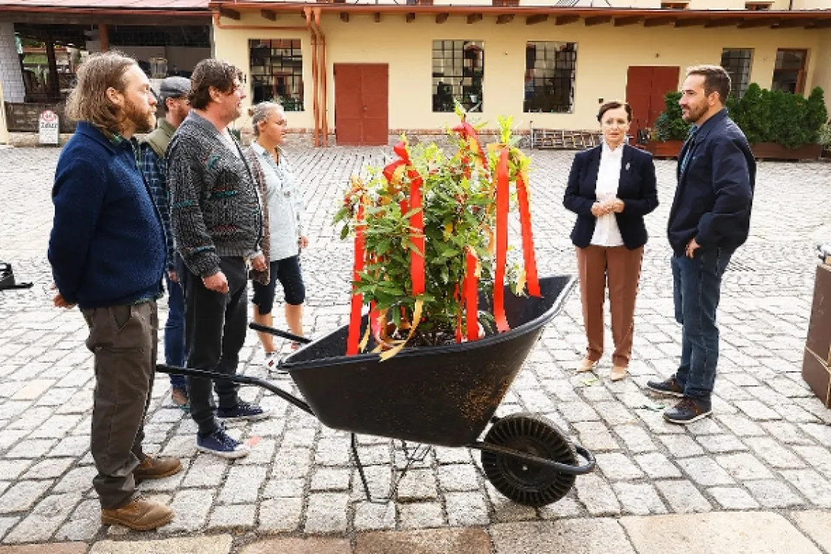 Hořký svět 2, 2024 - fotogaléria